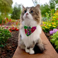 Vibrant Flowers & Butterflies Pet Bandana Collar