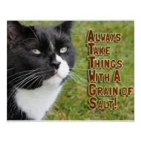 Grain Of Salt Cat Motivational Slogan Photo Poster