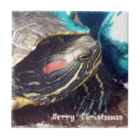 Christmas Turtle Tile