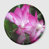 Christmas Cactus Flowers Magnet