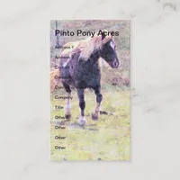 Pinto Pony Business Card