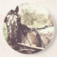 Appaloosa Horse Coaster