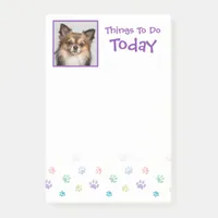 Rainbow Painted Paw Prints with Photo Insert Post-it Notes