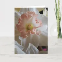 Daffodil Card
