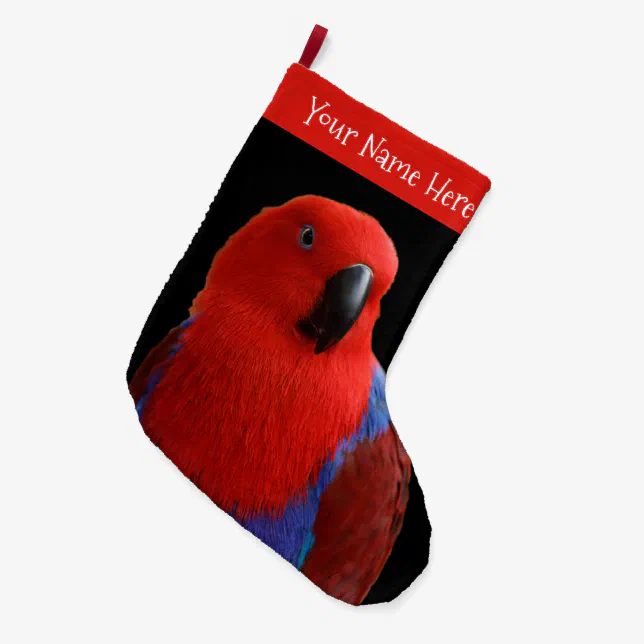 Beautiful "Lady in Red" Eclectus Parrot Large Christmas Stocking