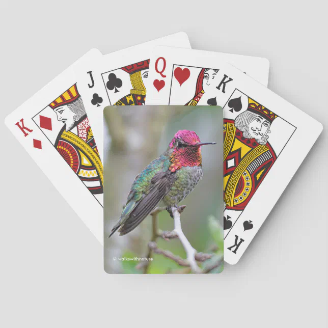 Stunning Male Anna's Hummingbird on the Plum Tree Poker Cards