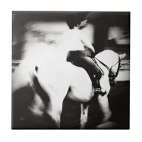 Dressage Tile