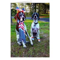 Patriotic Celebration Party Dogs & Fireworks Card