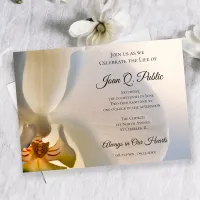 White Orchid Flower Celebration of Life Memorial Invitation