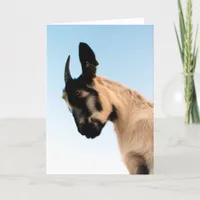 Beautiful Goat all occasions Card