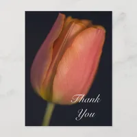 Red Spring Tulip Thank You Postcard