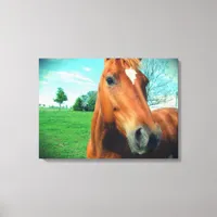 Sorrel Gelding Canvas Print