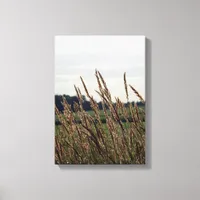 Grasses Blowing in the Wind Canvas Print