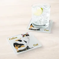 Calico Cat Personalized Glass Coaster