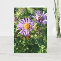 Purple Aster Card