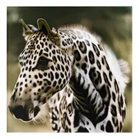 Funny Leopard Appaloosa Acrylic Print