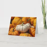 Mini Pumpkins, Thanksgiving Holiday Card