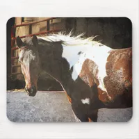 Pinto Horse Mouse Pad