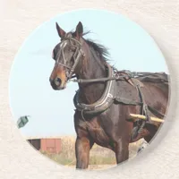 Rural Amish Horse and Buggy Coaster