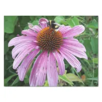 Bumblebee on Eastern purple Coneflower Tissue Paper