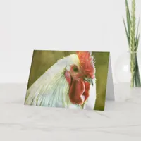 Rooster All Occasions  Card