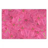 Fuchsia colored poinsettias, floral pattern tissue paper