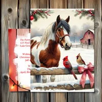 Spotted Pinto Horse and Cardinals Personalized Postcard