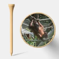 Baby Orangutan - Hang in there Golf Tees