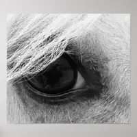 Horse Eye in Black and White Poster