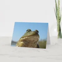 Bullfrog Card