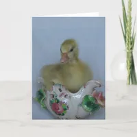 Gosling Card