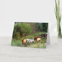 Horse Pasture Birthday Card