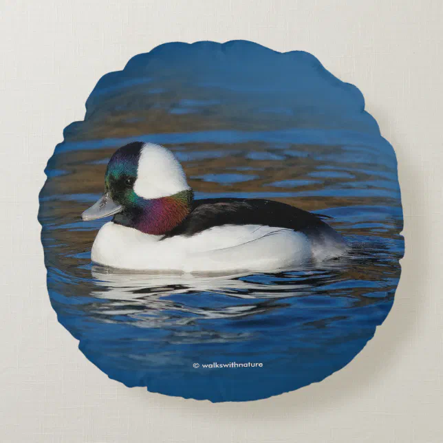 Handsome Bufflehead Duck at the Winter Pond Round Pillow