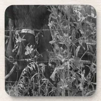 Amish Horse Black and White Grunge Beverage Coaster