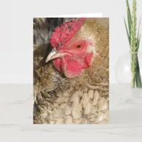 Frizzle Rooster Card