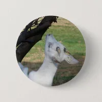 Can I Climb This Tree? Button