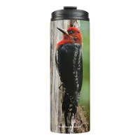 Meeting a Red-Breasted Sapsucker Thermal Tumbler