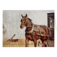 Kalona, Iowa Amish Horse and Buggy All Occasions Cards