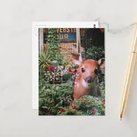 Adorable Fawn in the Garden Collage Postcard