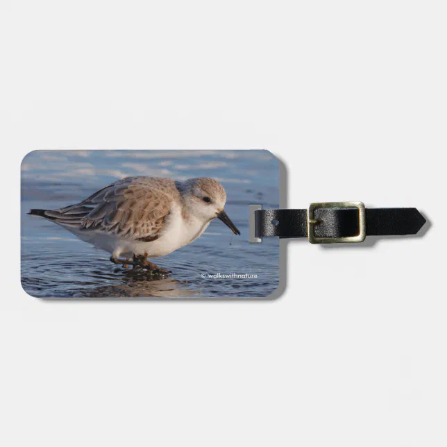 A Strolling Sanderling Luggage Tag