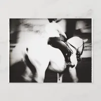 Dressage Postcard