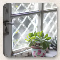 Watercolor Pretty Plant in the Window Beverage Coaster