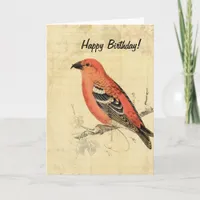 Vintage Pink Bird, Birthday Card