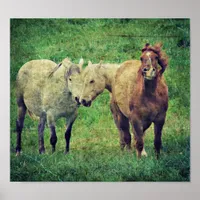 Silly Horses Poster
