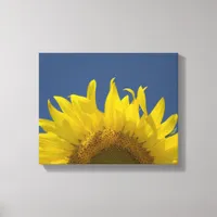 Sunflower Rising Canvas Print