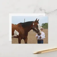 Showmanship Bay Paint Horse Postcard