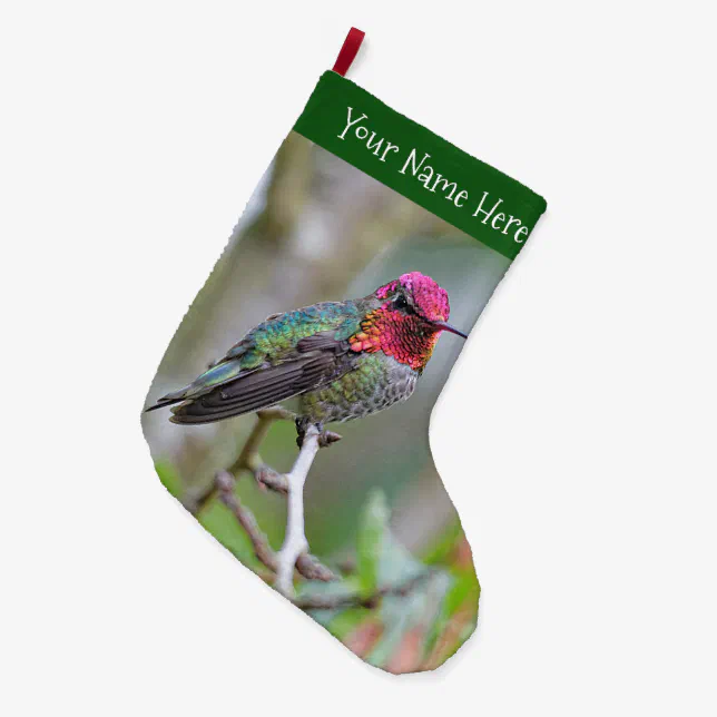 Stunning Anna's Hummingbird on Plum Tree Branch Large Christmas Stocking