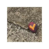 Heart Rock and Fossil Rock Wood Wall Art