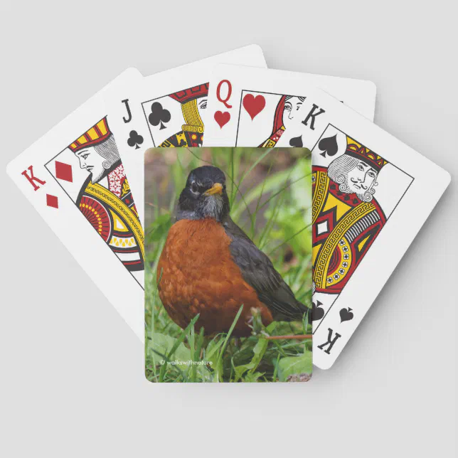 Bold Curious American Robin in Green Grass Poker Cards