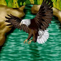 Bald Eagle over the River Hand Drawn